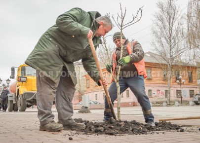 ������� �����������. �� �������� �������� � ������� �������� ����� �������