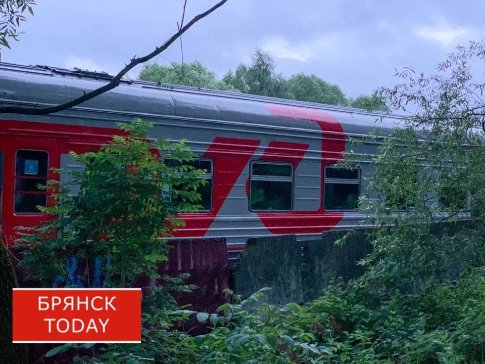 � 12 ������ ����� ������-���������� ������ ����� ������ �� ������ �������