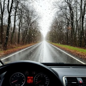 �� ������ ��������� ��������������, 10 ������ �� ���������� �������� ������� �������