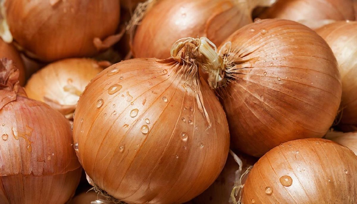 Юрист рассказал, можно ли брянцам снимать в магазине с лука шелуху для покраски яиц