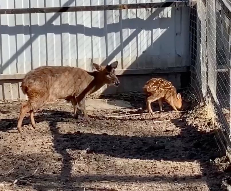 � �������� �������� � ��������� ��������� ������ ��������� ���������