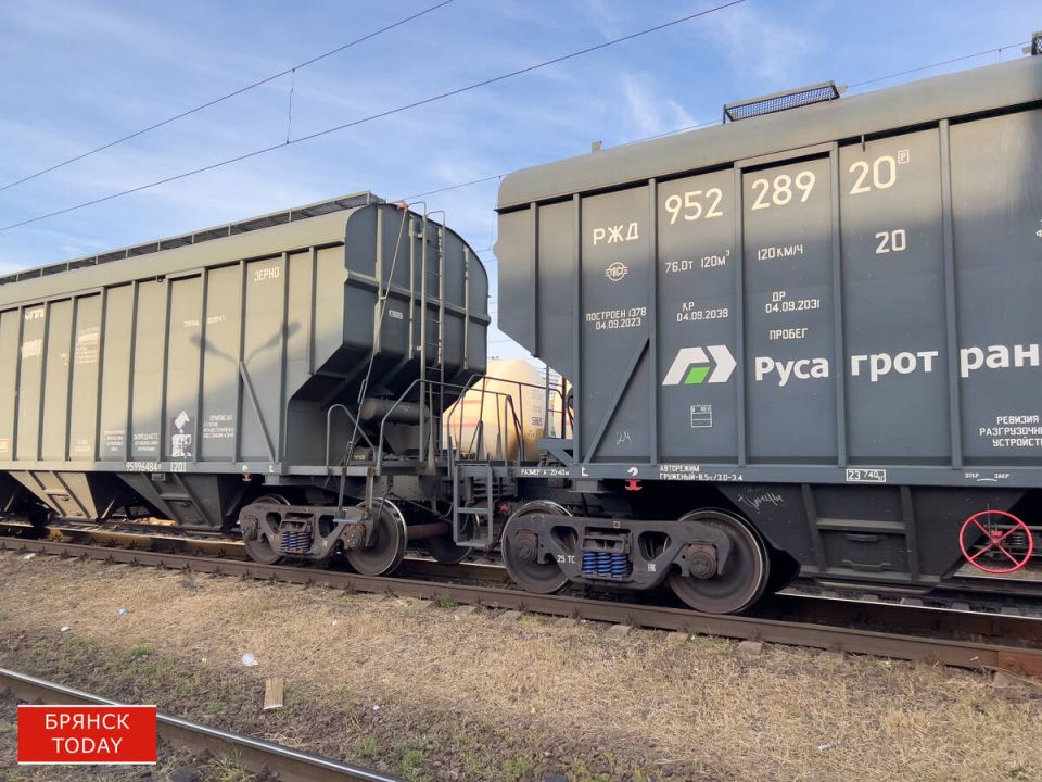 � 14 ������ � �������� ������� ��������� ���������� ����������� �������