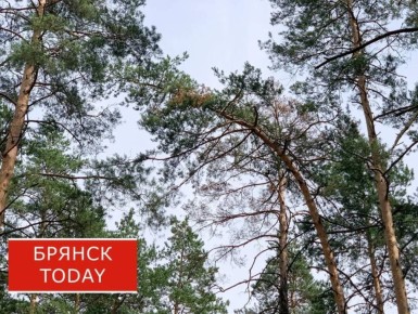 � �������� ������� ����������� ����������� ������ ����������� �� 2032