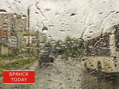 ������� �������� ������� ��������� ������ �������� ����� 13 ������