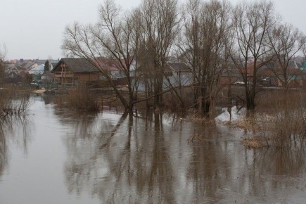 ������ �������� ����� ��������� � �������� ������� 13 ������