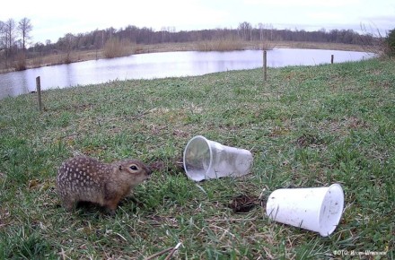 � ������� ������� ������������ ����� 150 ��������� ��������