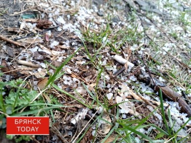 ���� ��������� �� ��������� ����� �������