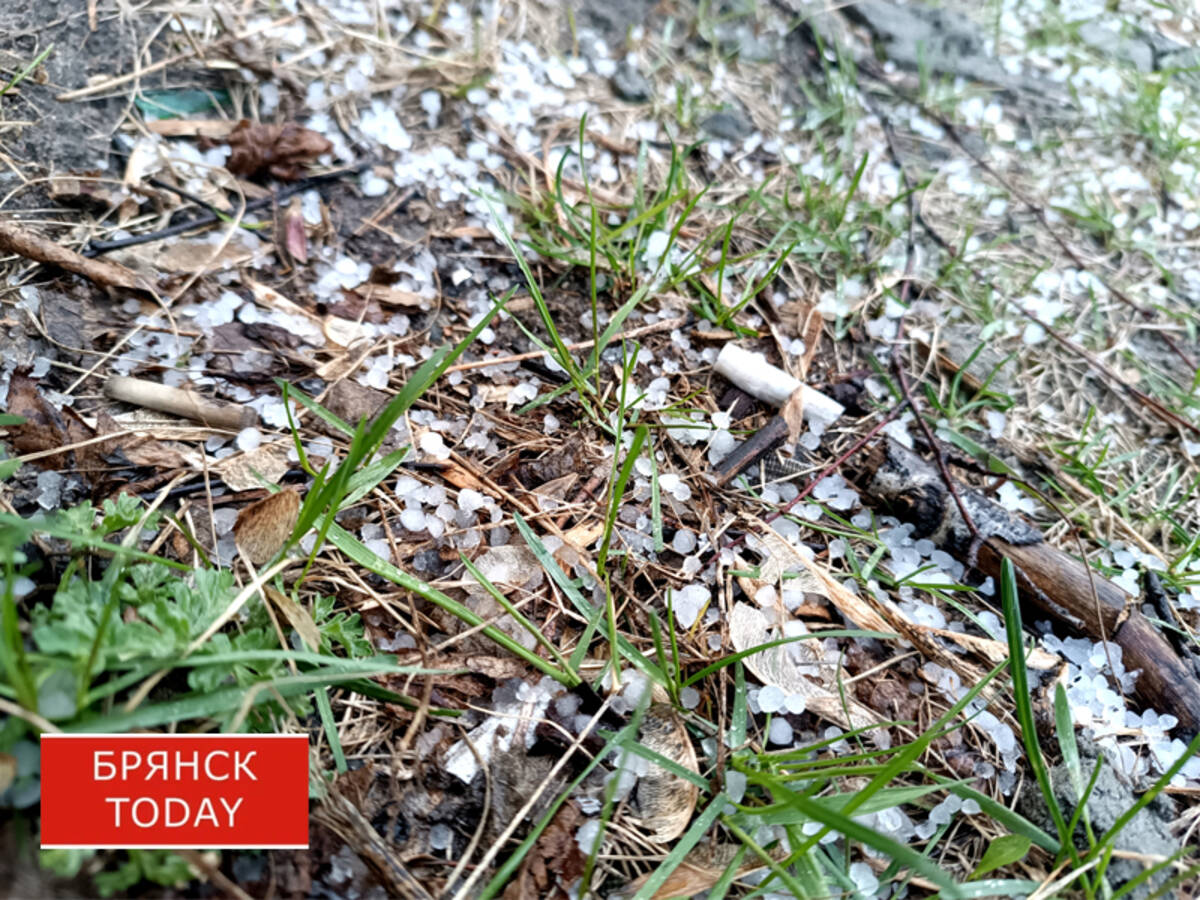 Град обрушился на Фокинский район Брянска