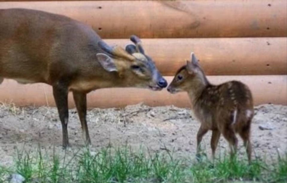 ���������� � �������� ��������: � ��������� ������ ��������� �������