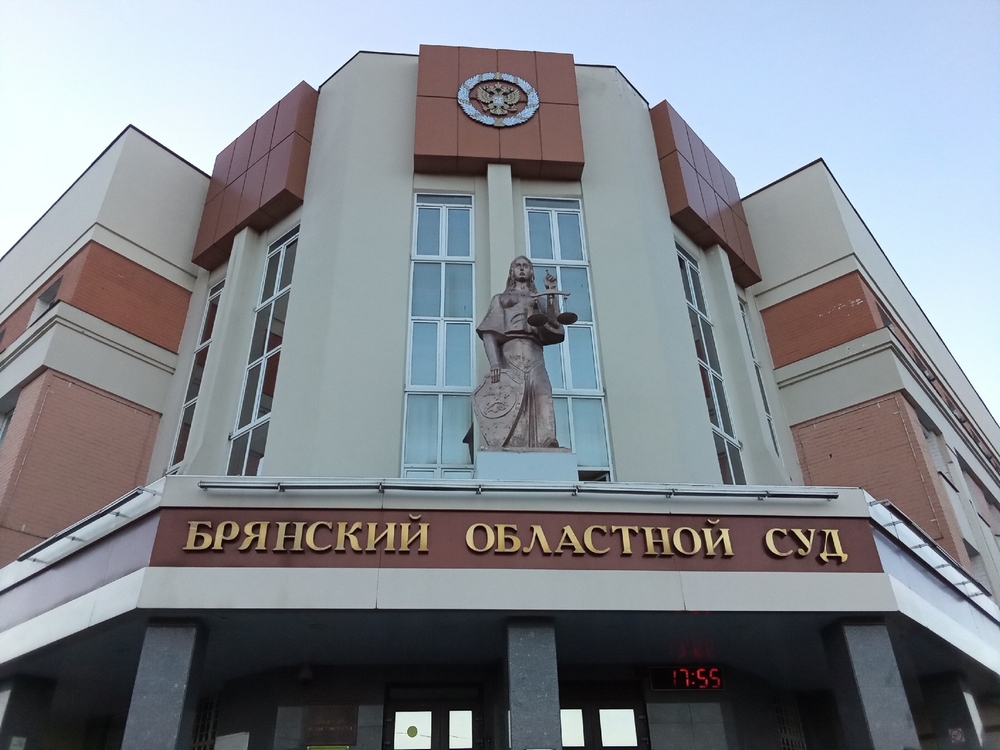 В Брянске 20-летнего парня будут судить за госизмену