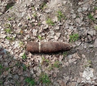 В Клинцовском районе обезврежен взрывоопасный предмет времён ВОВ