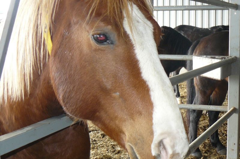 �������� ���������� ���� ������ ��� �������