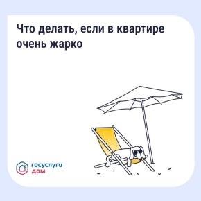 ��� ������, ���� � �������� ������ �����