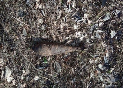 Под Брянском предотвратили взрыв