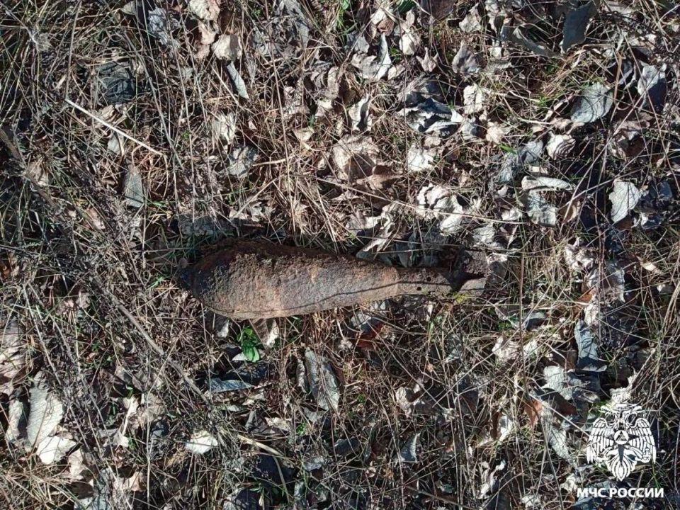 � �������� ������ ����� 81-�� ���� ������� ���