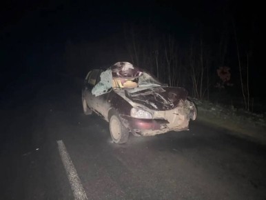 � ������� ������ ���������� ����� ������ �� ������