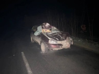 � ������� ������ ��������� ��������� ��� � �������