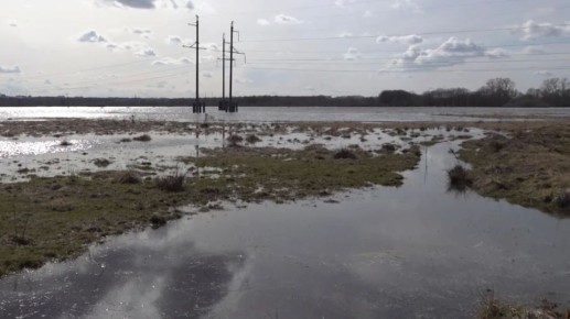 �� ����� ���� ���� � 20 �������� ������� �������