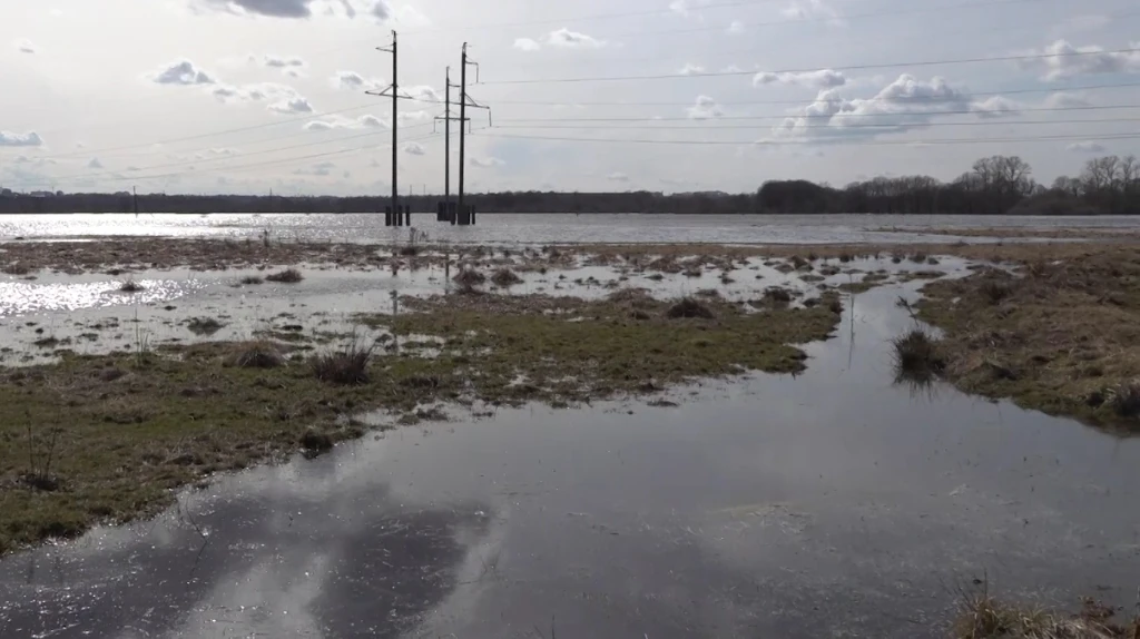 За сутки вода ушла с 20 участков жителей Брянска