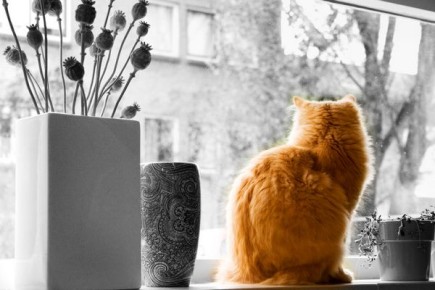 Вы по-настоящему счастливый человек, если по утрам вас действительно больше всего волнует прогноз погоды. Представляем прогноз на 14 апреля в Брянске