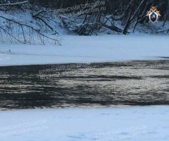 ����� �������� ����������� ������ ������� � ���� ����� � �������