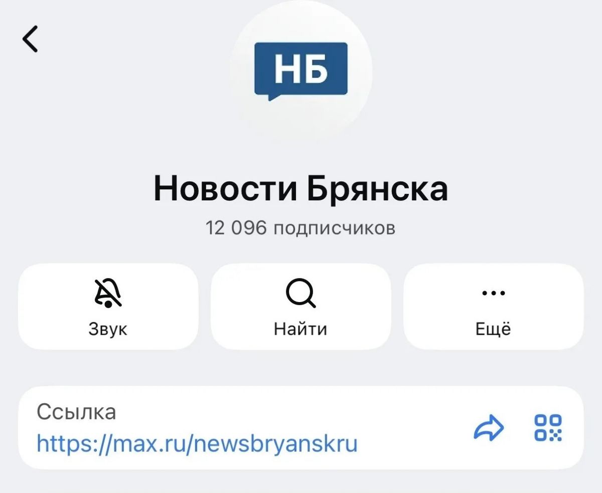 Аудитория «Новостей Брянска» в MAX преодолела отметку в 12 тысяч подписчиков