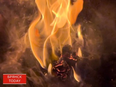 На Брянщине за сутки произошло 15 пожаров