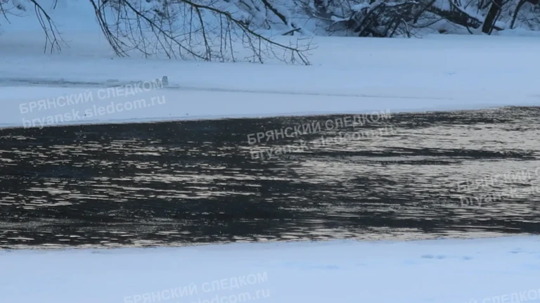 В Брянске поиски школьника привели к обнаружению тела пропавшей женщины