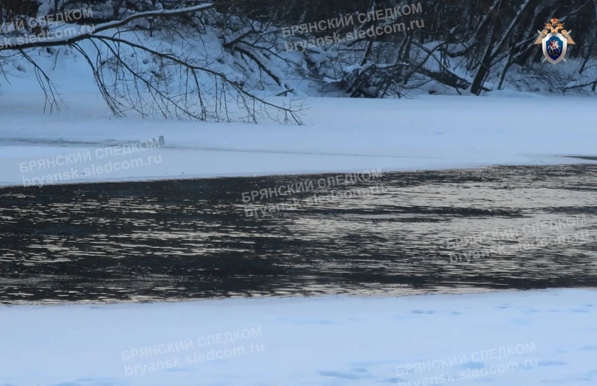 Стали известны подробности гибели жительницы в Брянске