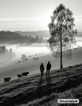 �������� �������� ����� �������� �� �������� �� ����� ��������