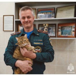 ������� ���������� ��� ������ �� �������� ������� ������ ���������� ��������!