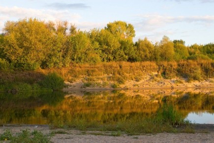 � ����������� ������ ������� ������������ 31 ������������ �������