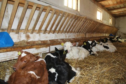 �������� ������ ������ ����� � ��� �� ��������� �������� �������� �����