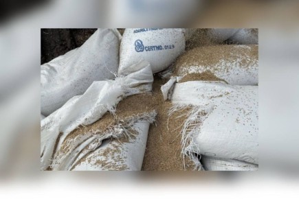 � �������� ������� ���������� 2,7 ����� ����� ������������ �������������