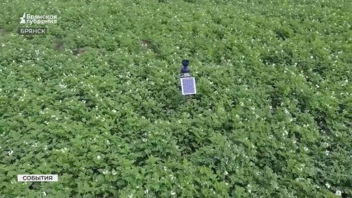 � �������� ������ ������� ������ ������������� ���������