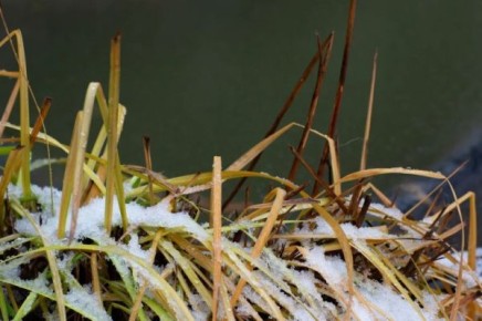 �������� ������� ������� ���� ������������ ������