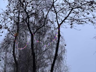 � �������� ������� ��������� ��������� �������������� ��-�� ����� � ������� ����� 24 ������