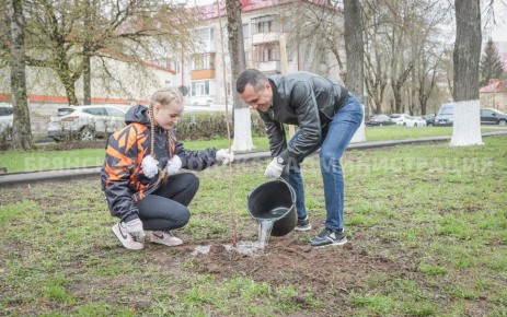 �������� ���� ������ ���������� �������� ��������� �������� ��������