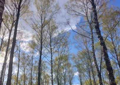 �������� ��������� ��� � ���������� ������� ��� �� ����� ��� �������