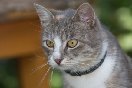 � ������� ��������� �������� ���������� ���������� �������� ������ ���������