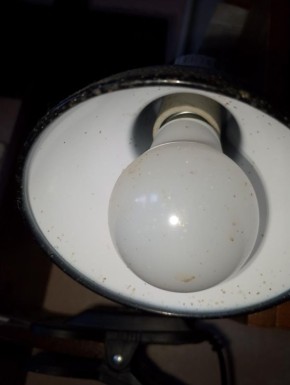 �������� ���������� ���������� ������������� �� �������� � 27 ������