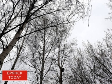 �������� �������� ������������������ ����� ����������� ���������