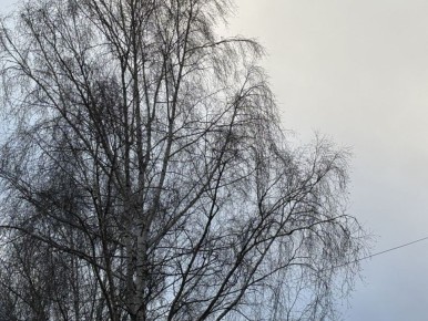 ����������� �� ���� � ������� 28 ������?