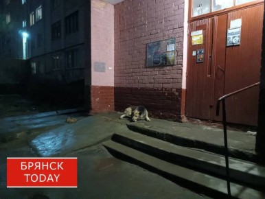 ���������� ���� ���� �������� �������� �� 40 ����� �� ��������� ����