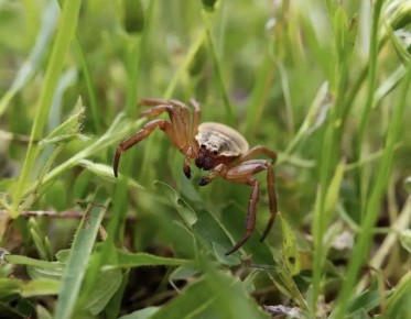 � �������� ������� ���������� ������� ����� �� �������� ������ �� ��������� ����������