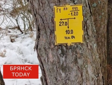 � 1 ��� ������������ �������� ����� ����� ������ � ��������