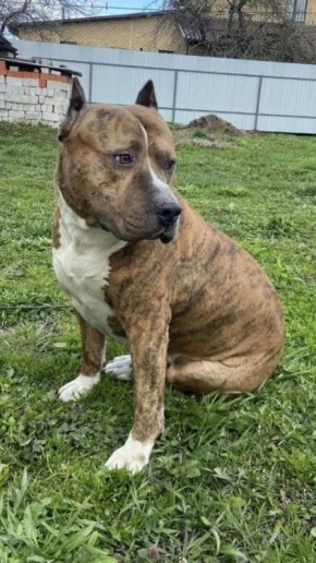 �����������: � �������� ������� ������ ���� �� �������� �� �������� ���