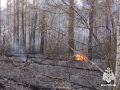 ���: ��������� ������� ���������� � ����������� � ���� �� ���������� ��������������� ������