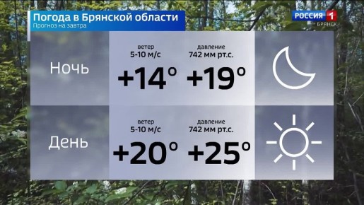 ������� ������ �� 5 ���