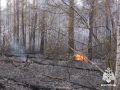 ������������ ������ ����� � �������������� ��������� ������